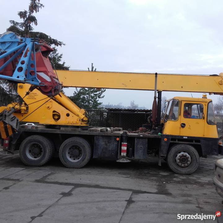 Coles 2022 Rokitnica