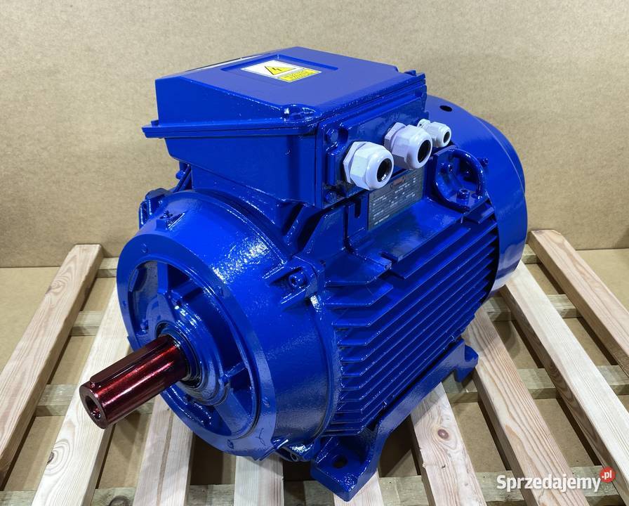 silnik elektryczny 30kW 2940obr 3fazowy Pigża