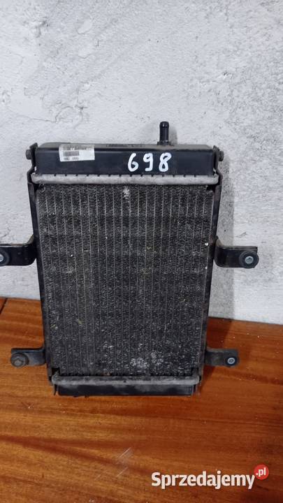 Chłodnica wentylator czujnik SYM 250 skuter Łubno