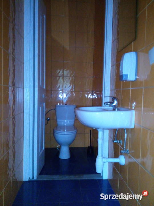 Lokal w centrum Poznania Krysiewicza parter Poznań