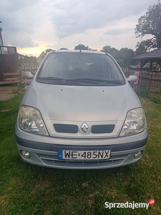Sprzedam renault Polany