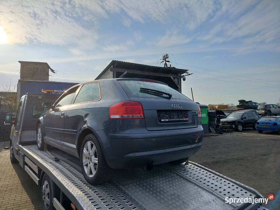 Części Audi a3 8P 16 diesel Przybiernów