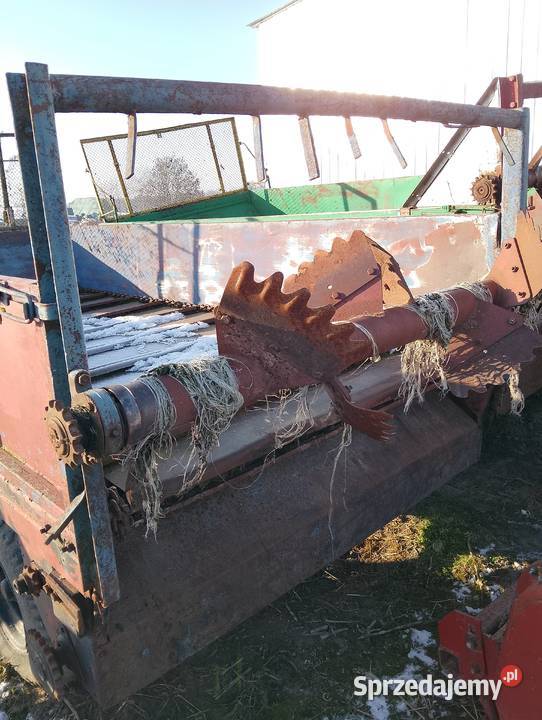 Rozrzutnik Mąkowarsko