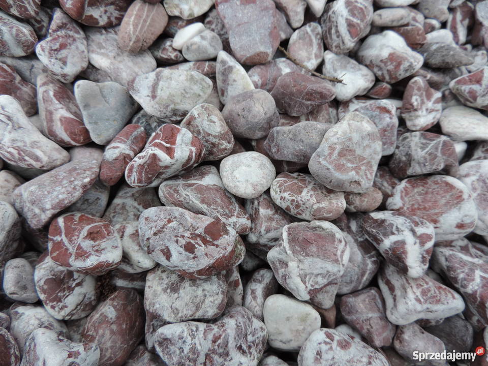 OTOCZAK ATLAS RED BOBREK koło OŚWIĘCIMIA Dom i Ogród