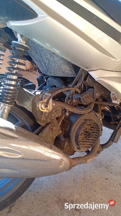 Delux 7 125cm3 Lisia Góra