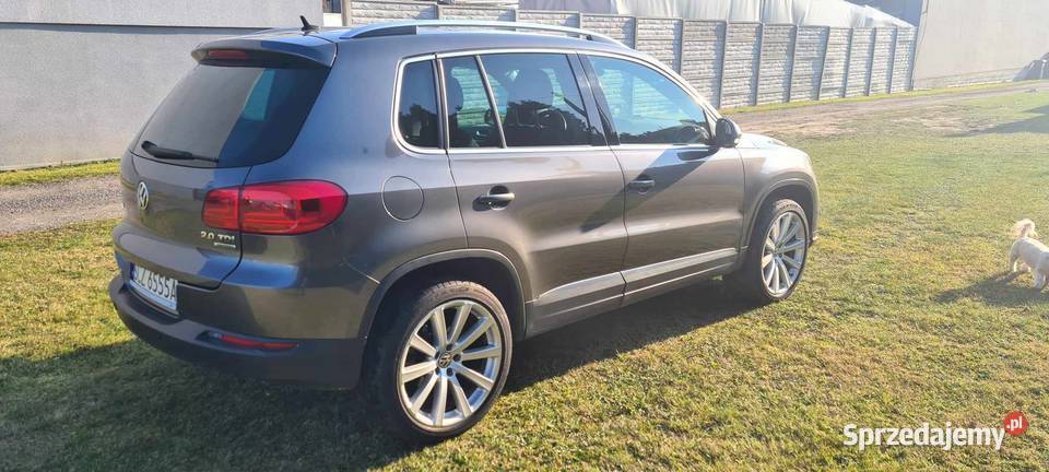 VW TIGUAN 20 TDI 4 MOTION DSG 7 Stopniowy Częstochowa