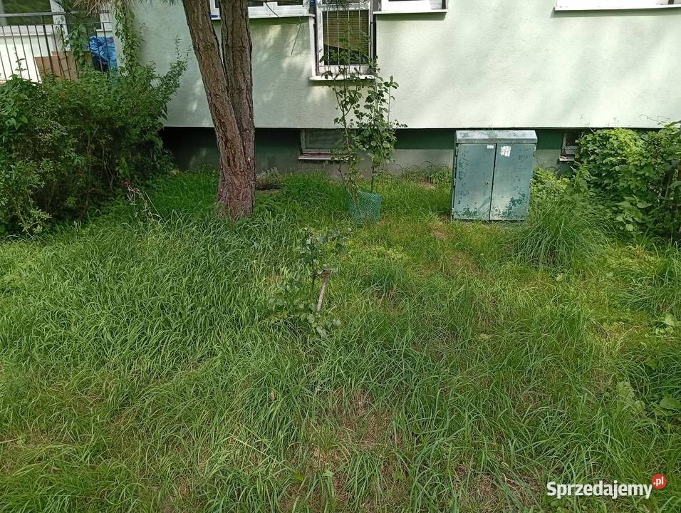 Kawalerka30m2 SopotBrodwino z ogródkiem Sopot