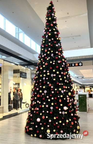 Choinka ozdobna do dużej powierzchni wys 6 m Poznań sprzedam