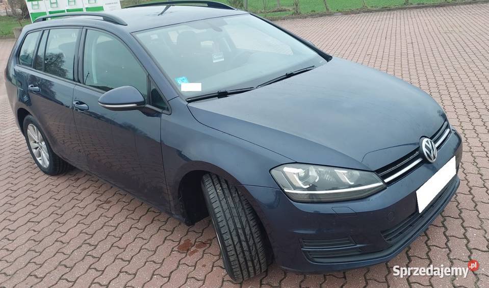 1taki Volgswagen Golf VII 16 Diesel 81KW Polska