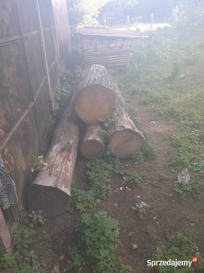 Drewno podlaskie Nurzec-Stacja
