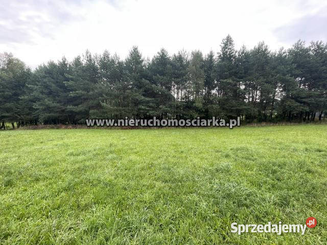 Grunt Wodzisław Śląski 3252m2 śląskie