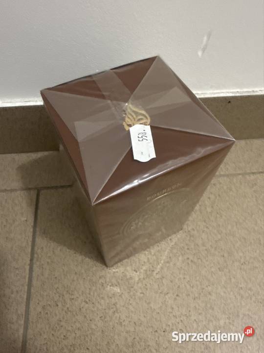 Yara Brązowa Męska wielkopolskie Konin