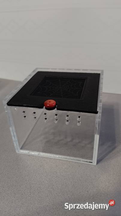Terrarium akrylowe małych płazów gadów pająków śląskie