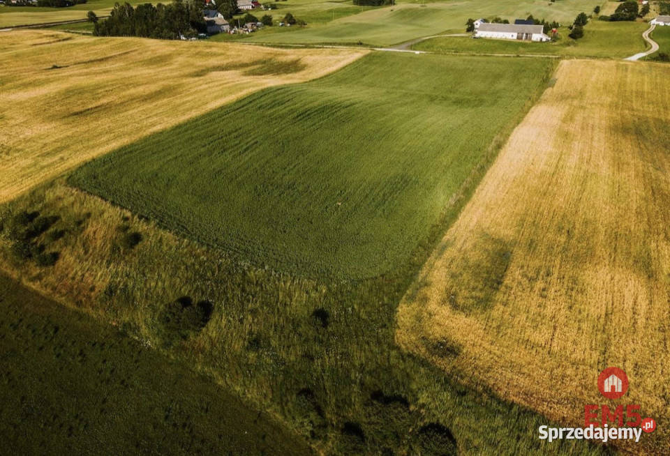 Działka 12000m2 Żegary 20zł/m2 Sprzedaż sprzedam
