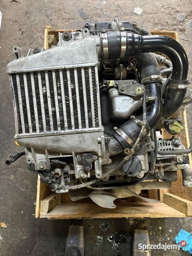 Silnik ZD30 Nissan Patrol Y61 30di 2003 pompa dolnośląskie Jelcz-Laskowice