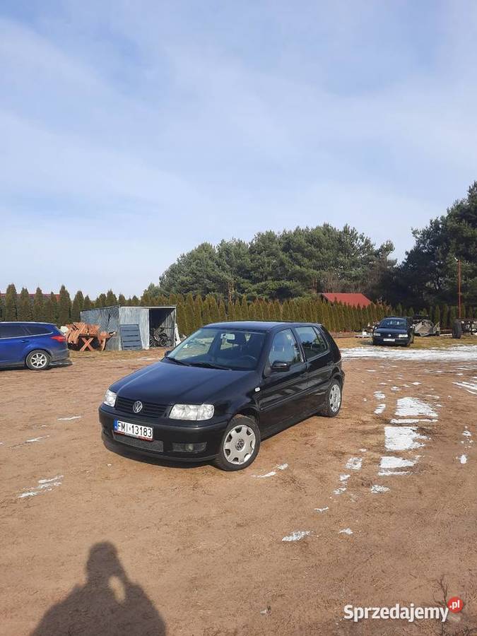 Volkswagen Polo 6N2 2000r Gorzów Wielkopolski