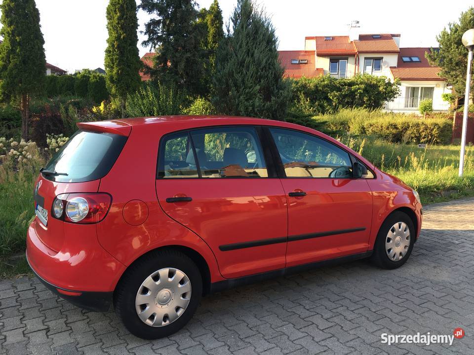 VW GOLF V PLUS nieuszkodzony