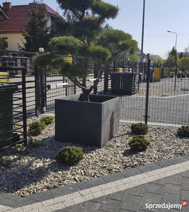 Donica betonowa 80x80x70 beton architektoniczny