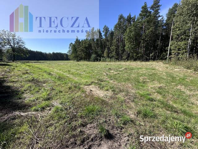 Grunt Borucza 1800m2 mazowieckie