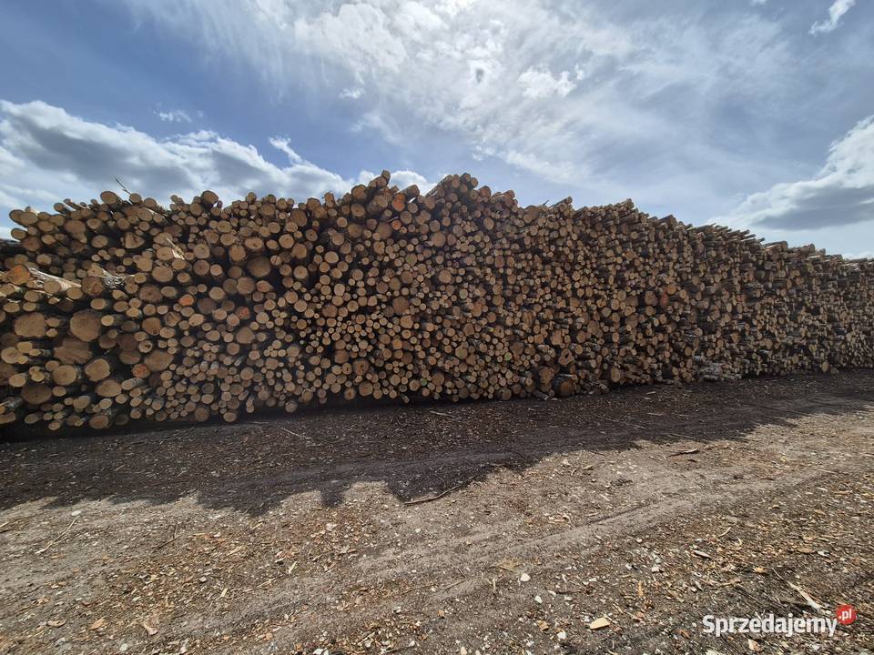 Drewno kominkowe twarde GRAB Wrocław