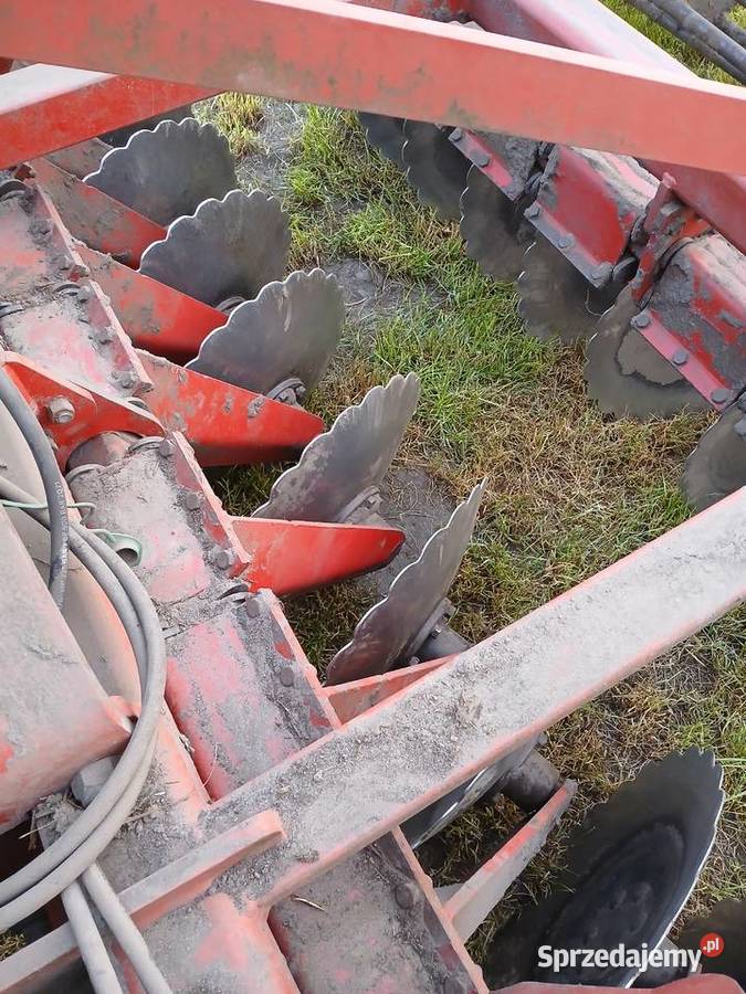 Talerzówka expom goliat wielkopolskie Konin