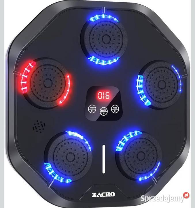 Pad bokserki Drezdenko