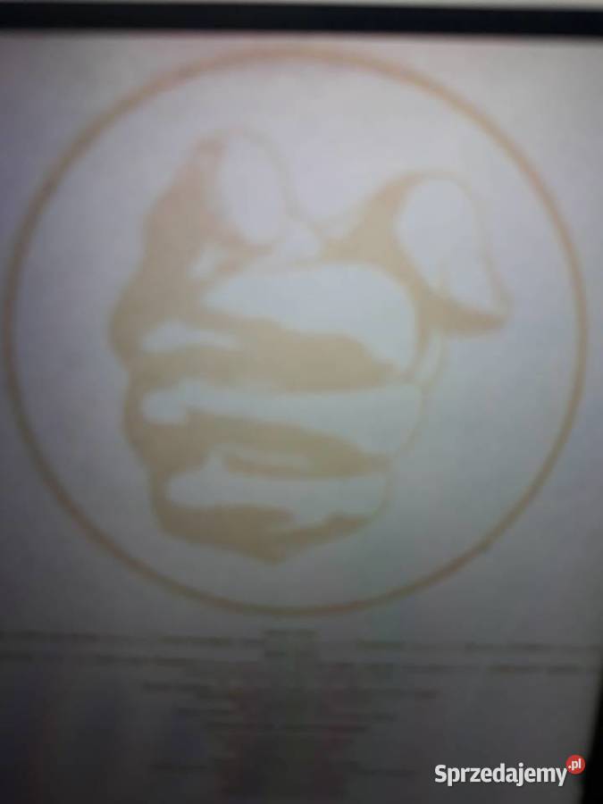 Archiwum hard rocka GRAND FUNK RAILROAD We where Muzyka Rzeszów sprzedam