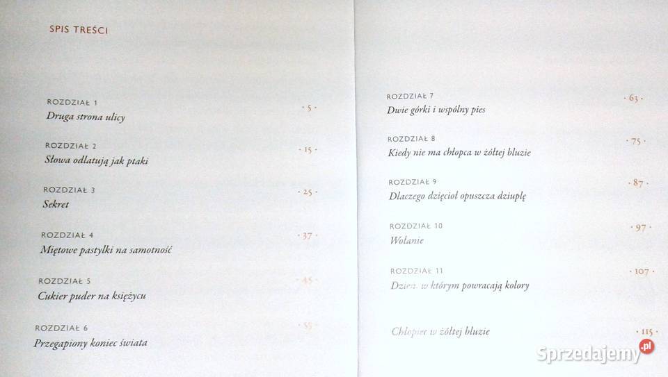 Dziewczynka z parku Barbara Kosmowska Chełm