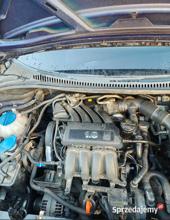 Seat Altea 2005 16 benzyna mpi 102 klimatyzacja warmińsko-mazurskie Elbląg