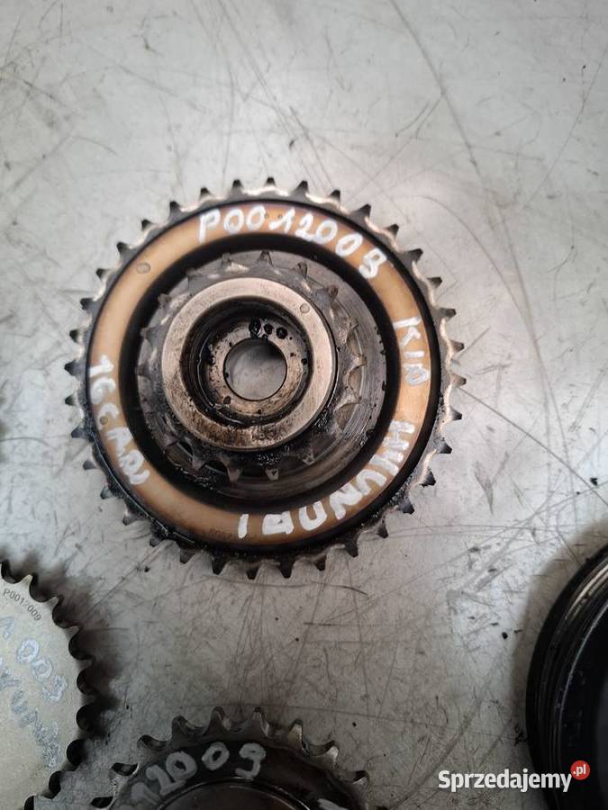 KIA HYUNDAI D4FB 16CRDI koło rozrządu pasowe osobowe Rozrząd Kielce