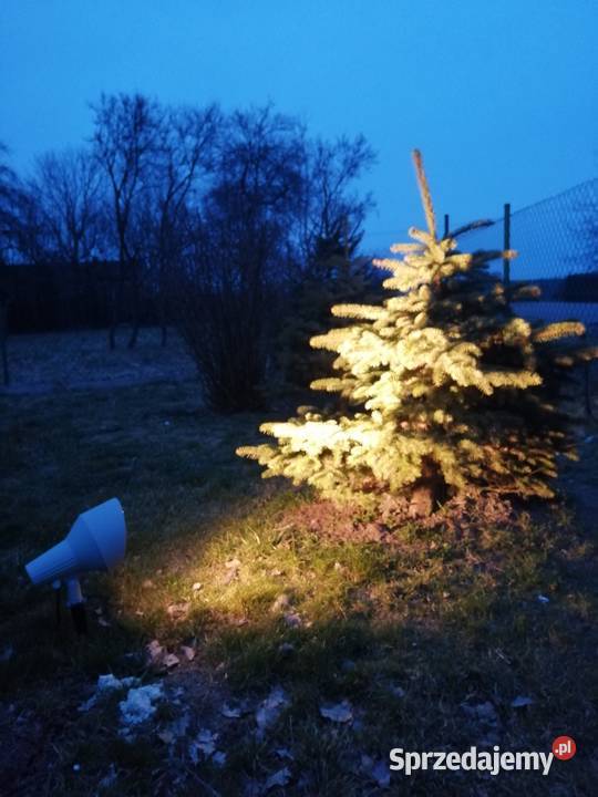 REFLEKTOR ALUMINIOWY ZEWNĘTRZNY Ogród Łask