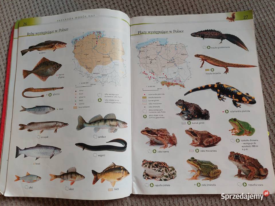 Sprawdzian Przyrodniczy W Klasie 1 Sp - "Atlas przyrodniczy" szkoła podstawowa Kraków - Sprzedajemy.pl