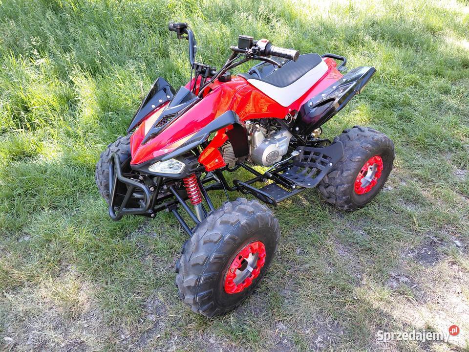Quad 110 remoncie panthera Lubin