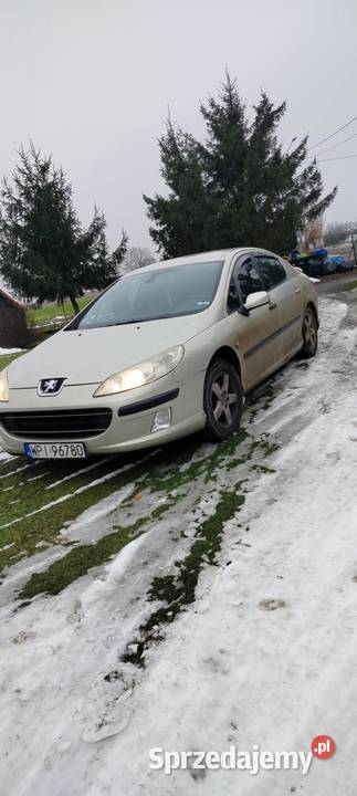 Peugeot 407 20 bengaz Golub-Dobrzyń