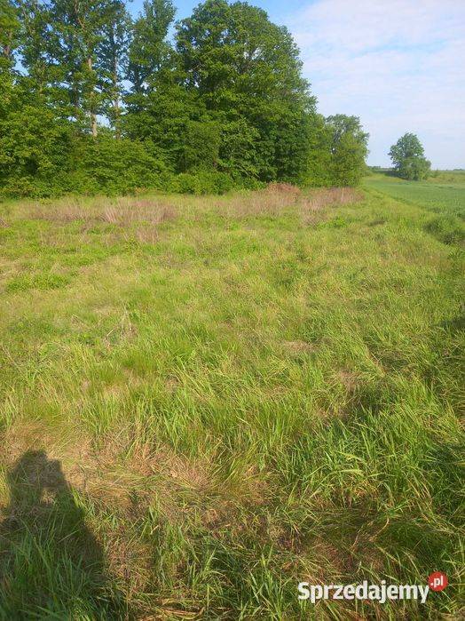 Działka budowlana 2600m2 dolnośląskie Nawojów Łużycki