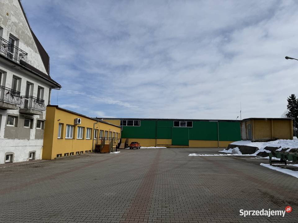 Wynajmę lokale hale magazyny i inne Jordanów