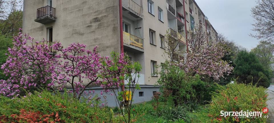 Sprzedam słoneczne mieszkanie 2 pokojowe w