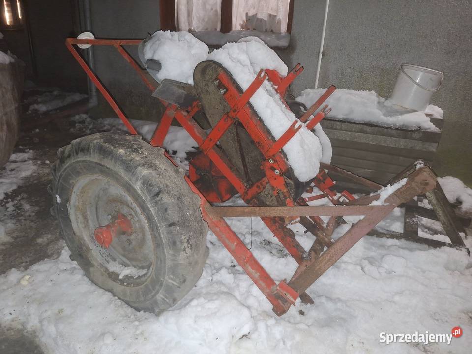 Sprzedam kosa wielkopolskie Konin