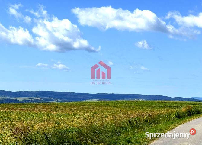 Grunt 2600m2 Brzeziny sprzedam