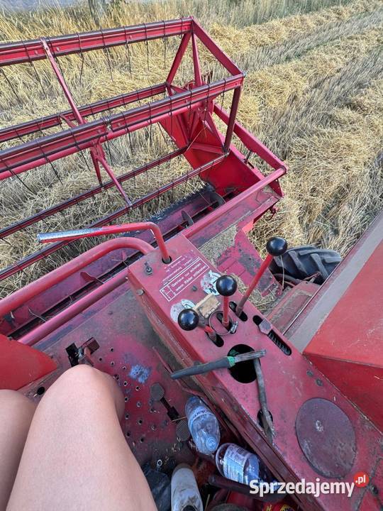 Massey Ferguson 186 Małogoszcz