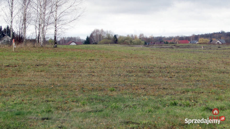 Grunt Tołcze 1000m2