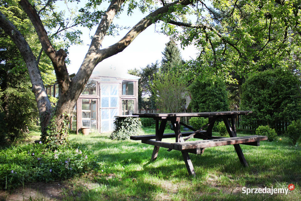 Zadbana działka ROD Ławica wielkopolskie Poznań