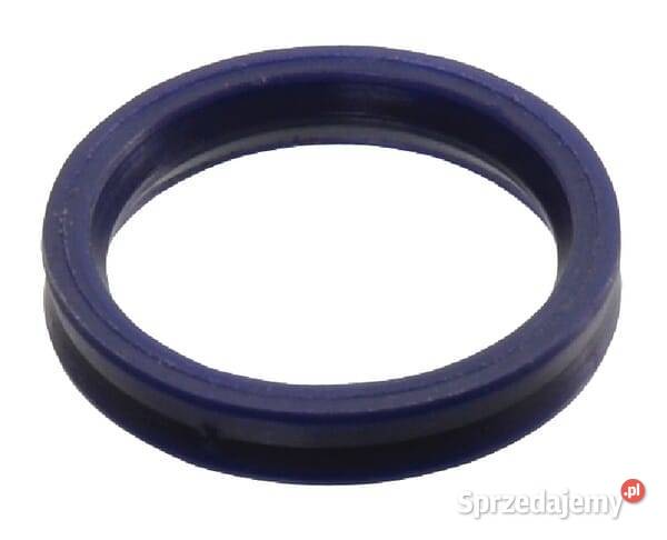 Pierścień uszczelniający do FFH06M SKFFH06 Kamionna sprzedam