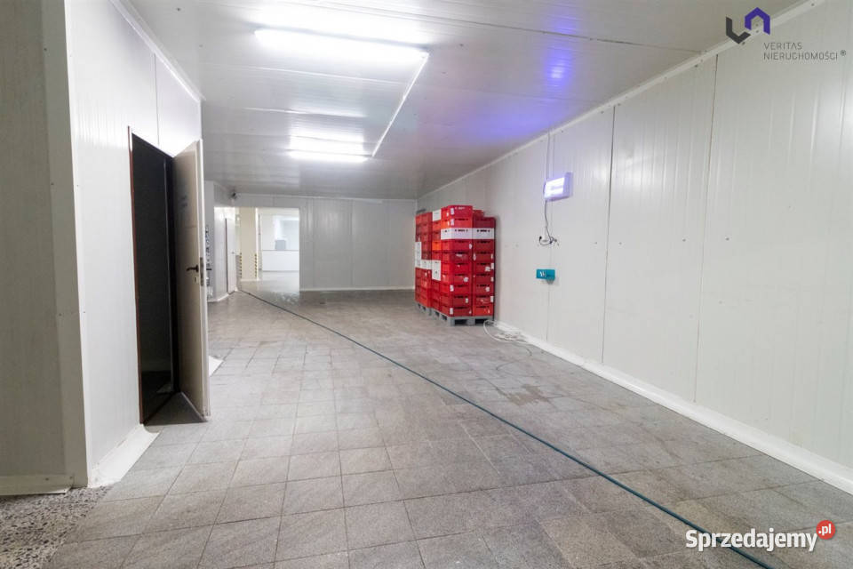 Lokal Ruda Śląska 1056m2 śląskie sprzedam