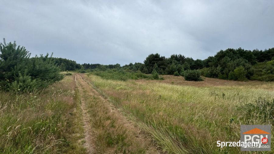Grunt Domysłów 810m