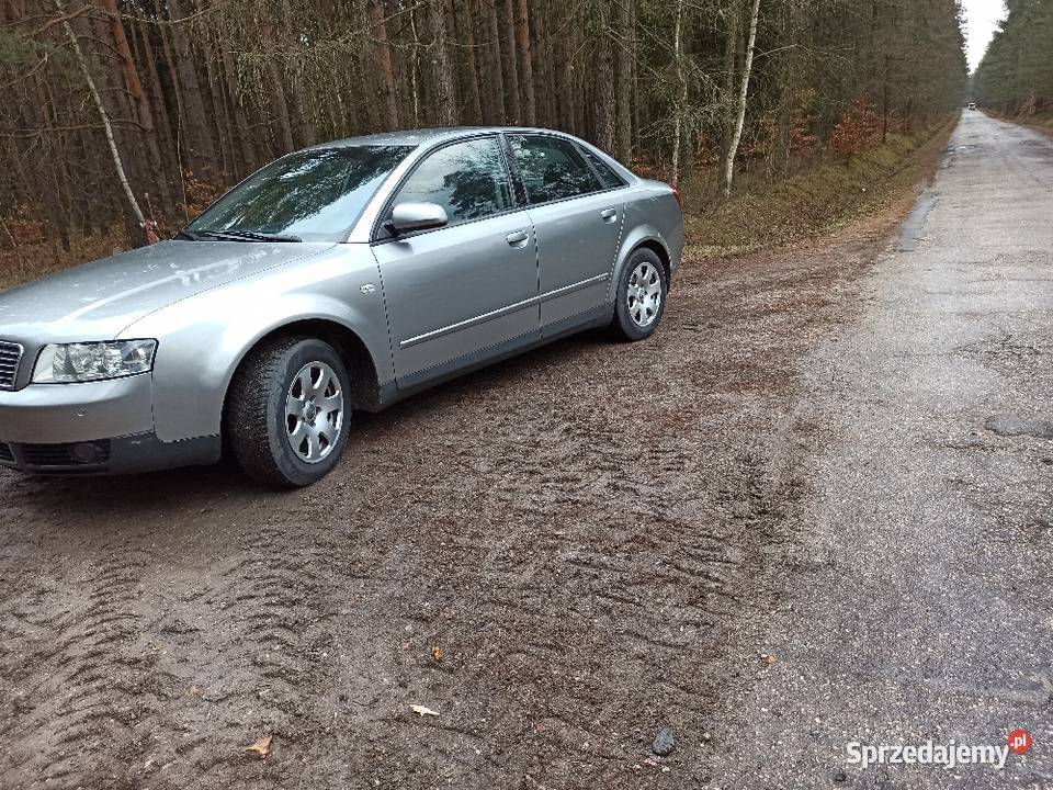 Audi A4B6 Łask