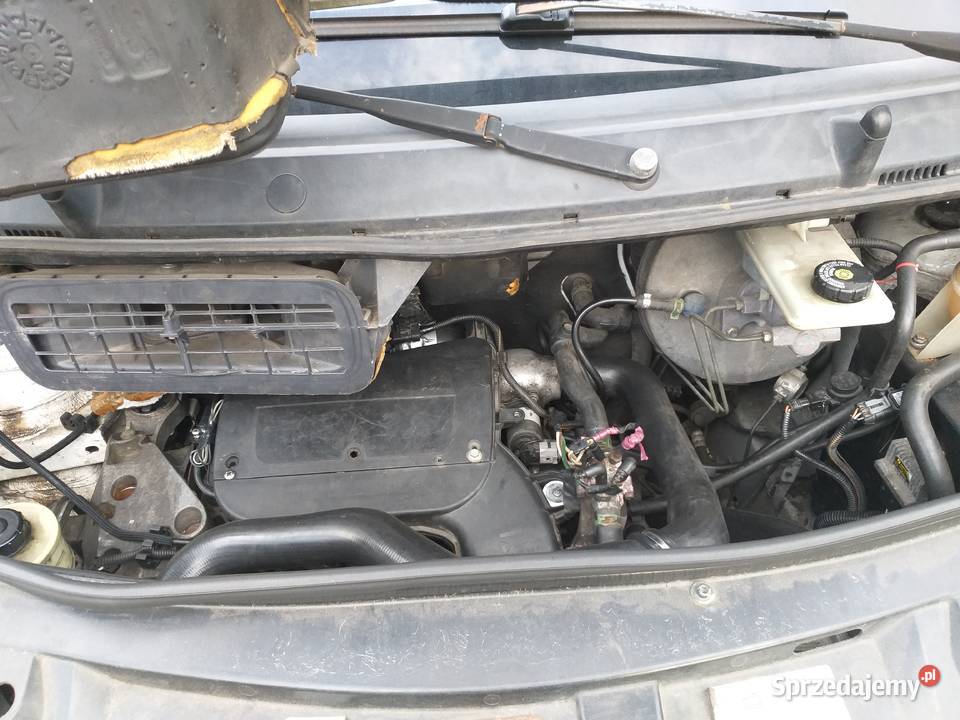 Sprzedam Vivar 19DI 2001 Rok produkcji 2001 Żabnica