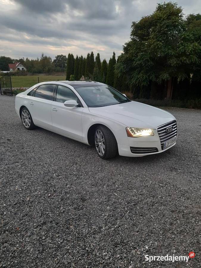 A8 d4 Long Poniatowa