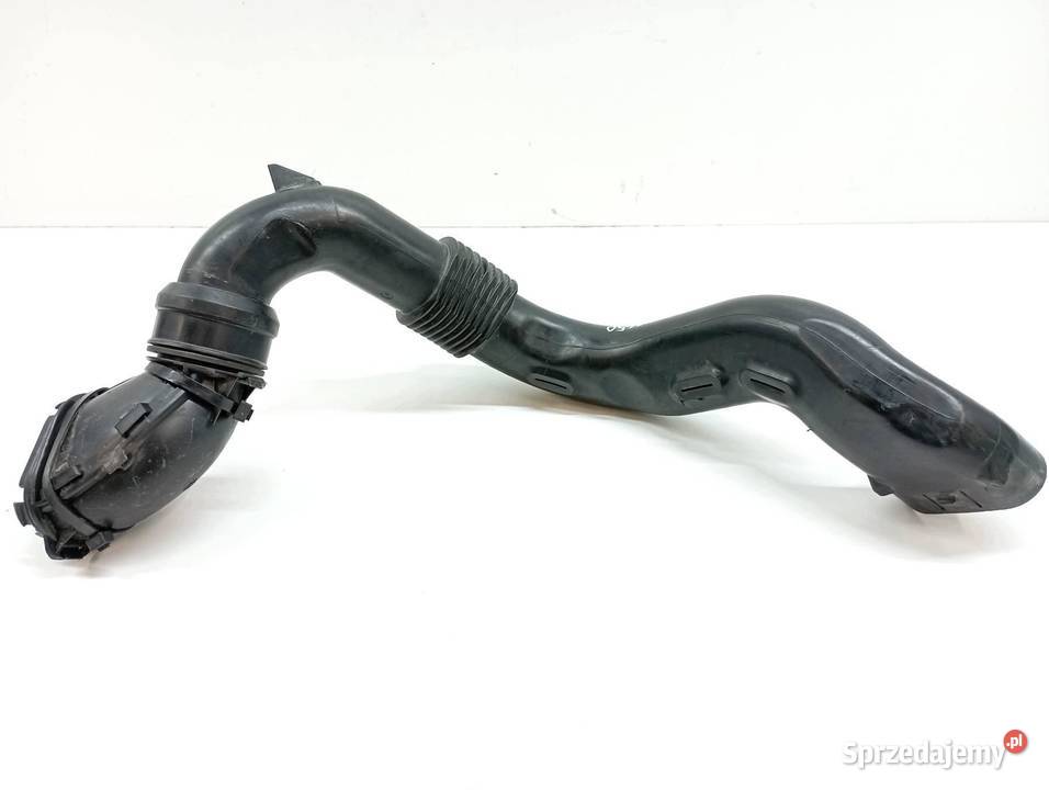 DOLOT POWIETRZA 165554494R 15 D Dacia Lodgy I Rok produkcji 2020