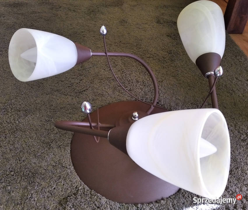 Lampa wisząca świętokrzyskie